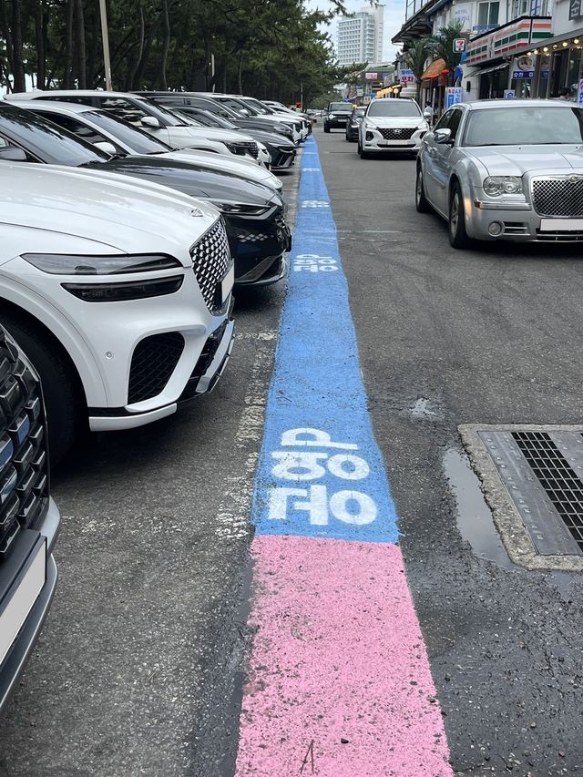 경포 해안상가 유색 주차선 도입