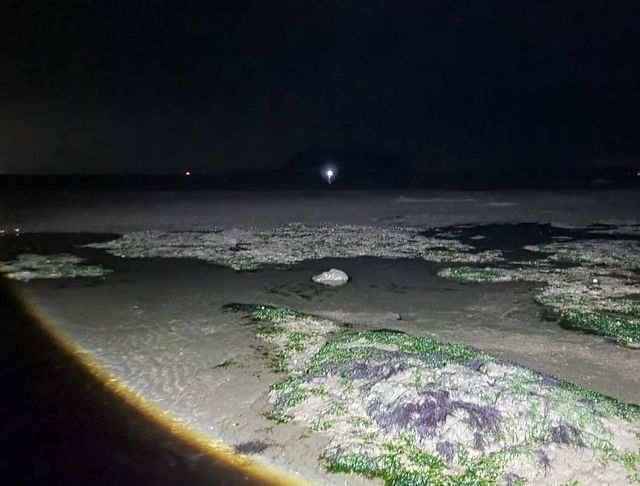 불빛으로 확인된 고립 위치