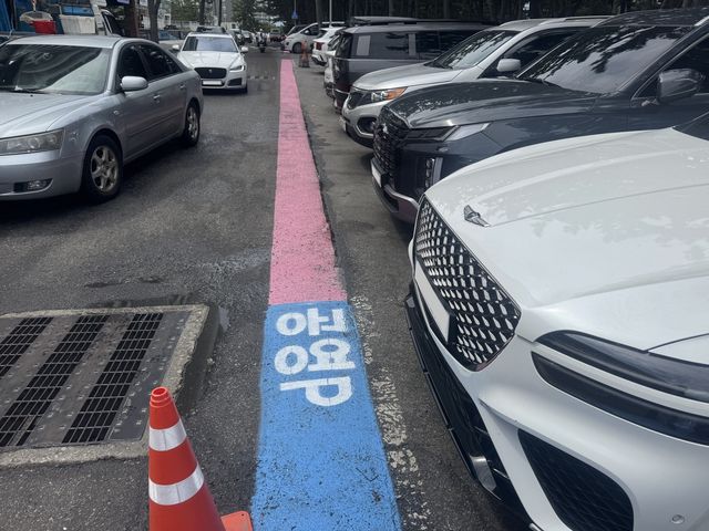 경포 해안상가 공영·민영주차장 유색 주차선