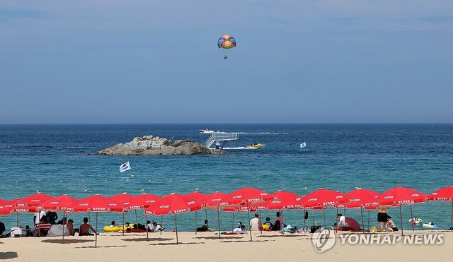 피서객 기다리는 파라솔