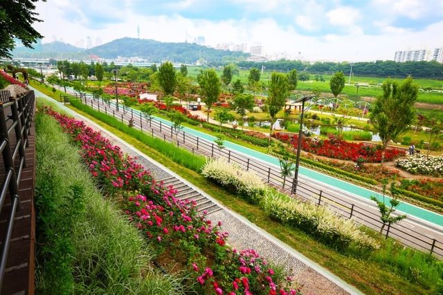 구로구 안양천 일대 장미정원