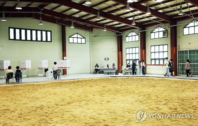 씨름장에서 투표하는 유권자들