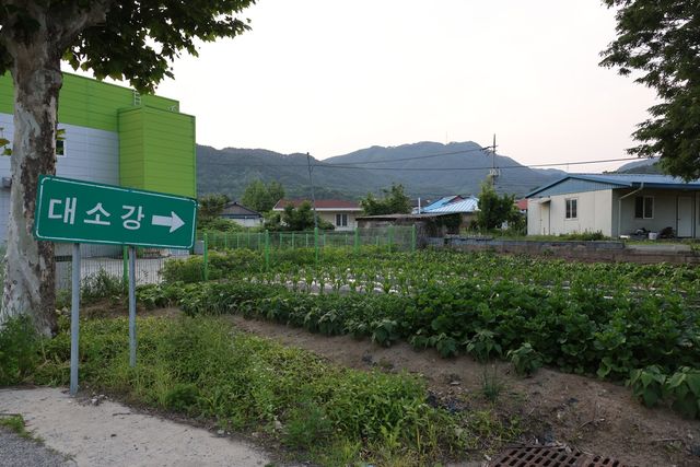 대소강마을 전경