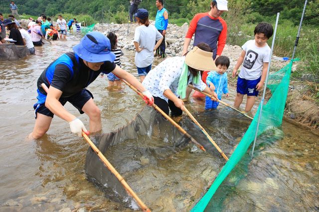 울진 왕피천 피래미축제