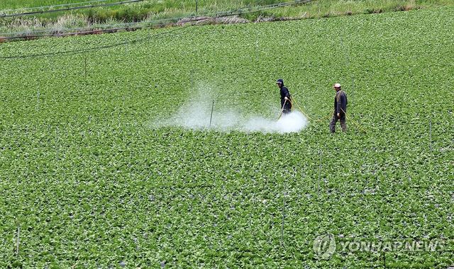 폭염에 분주해진 병충해 방제작업