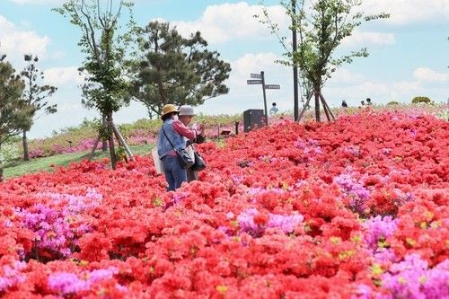 붕어섬 생태공원
