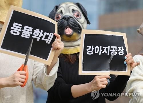 동물 학대 규탄 시위