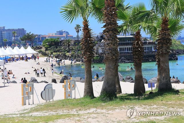 여름엔 바다가 최고