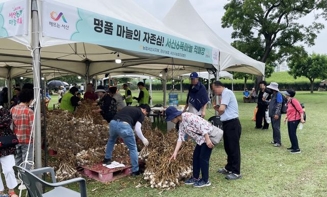 서산 6쪽마늘 축제에 3만여명 방문