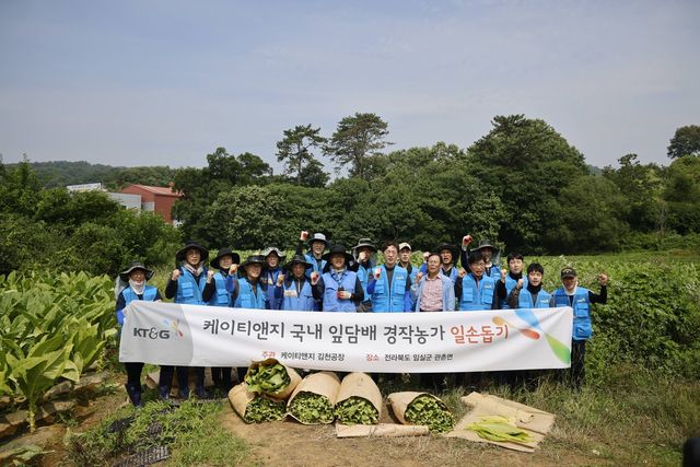 KT&G 잎담배 농가 일손돕기 봉사활동