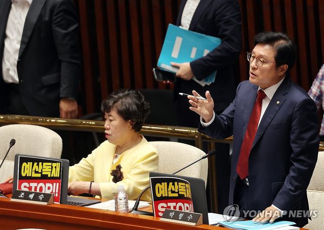 정회 요구하는 박형수 의원