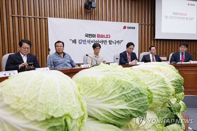 김민석 국무총리 후보자 국민청문회