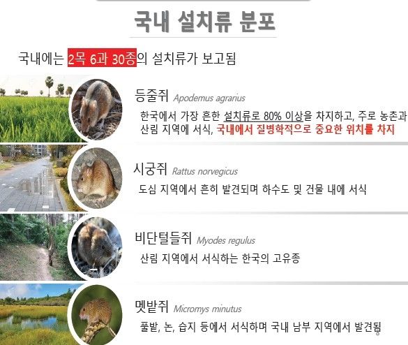 [질병관리청 제공]