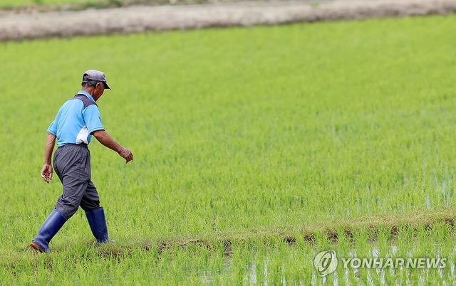 이른 아침 농부의 일상
