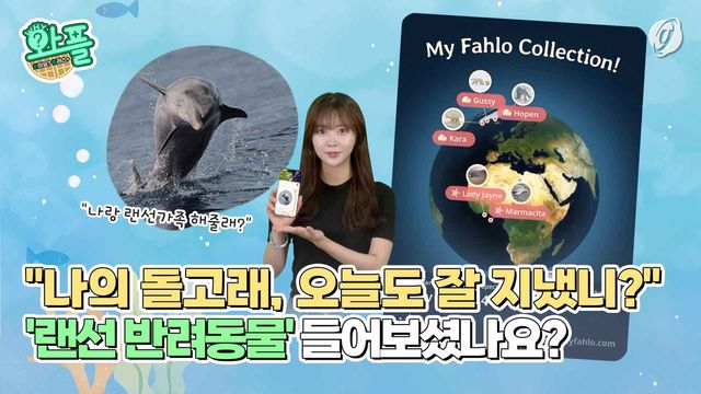 [와플] "나의 돌고래, 오늘도 잘지냈니"…'랜선반려동물' 들어보셨나요? - 2