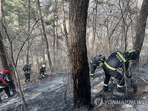 하동 옥종 산불 진화
