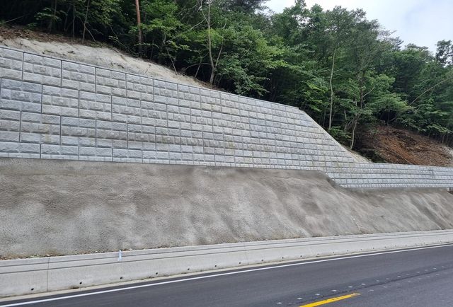 충북 보은군 국도변 비탈면의 시공 전 상태 