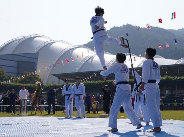  태권도 시범 공연