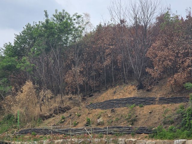 울주군 온양읍 운화리 일대 사방시설 