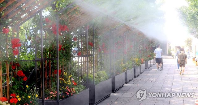 무더운 날씨…시원한 물안개길