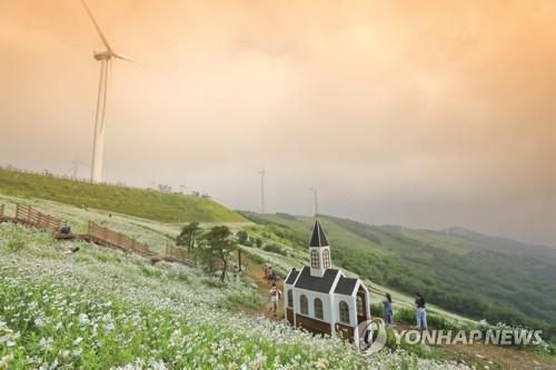 평창 육백마지기
