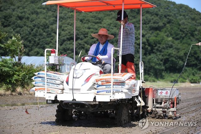 벼 직파기 조종하는 김재욱 칠곡군수