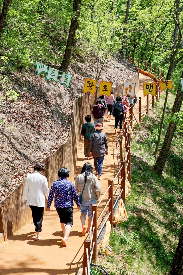 황토맨발 숲길[사진/임헌정 기자]