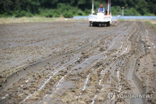 '풍년을 기원하며'