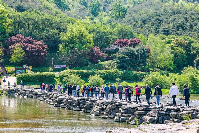 농다리를 건너는 관광객들[사진/임헌정 기자]