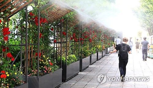 무더운 날씨…시원한 물안개길