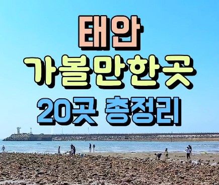 '태안 방문의 해' 숏폼 공모전 대상 수상작