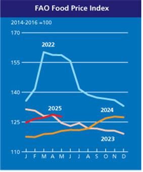 연도별 식량가격지수