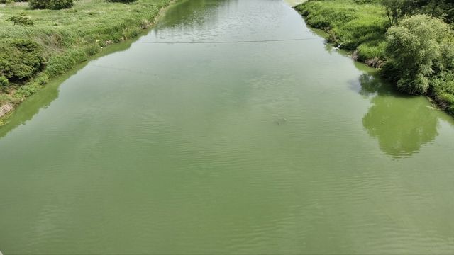 지난 5일 낙동강 본류인 함안보 상류 광려천 유입지점 일대 모습