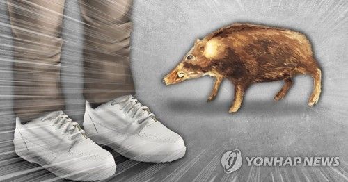 멧돼지 출몰