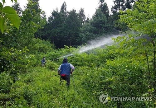 산림 병해충 방제