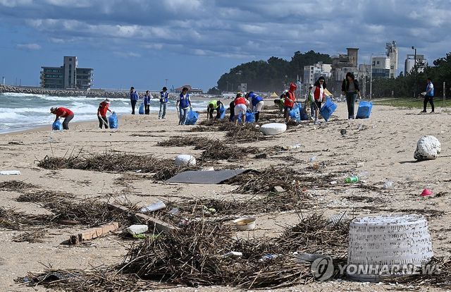 해변 쓰레기 청소하는 자원봉사자들