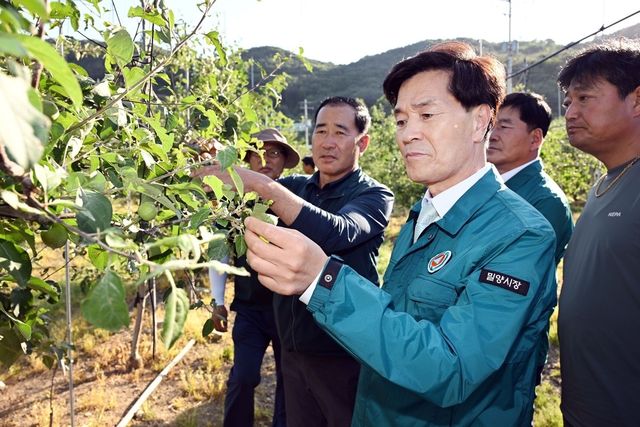 안병구 경남 밀양시장 현장 점검