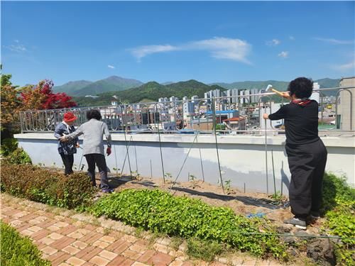 울주군장애인복지관에 조성된 옥상텃밭