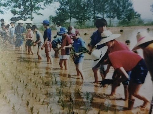 송준영 씨가 자랐던 보육원의 원생들이 원장 농장에서 모내기 하는 모습