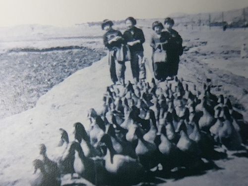 송준영 씨가 자랐던 보육원에서 아이들이 오리 사육하는 방법을 배우는 모습