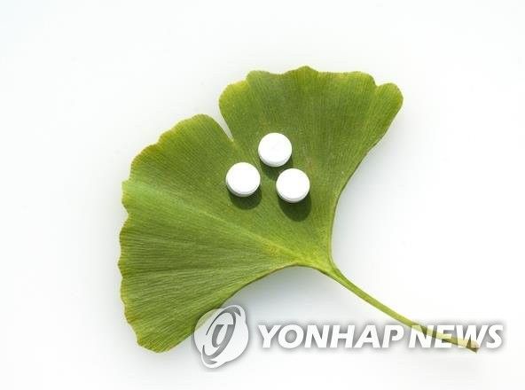 은행나무잎 추출물