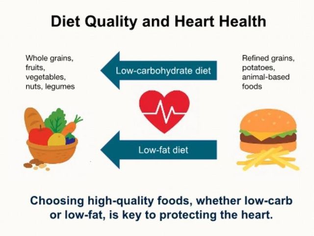 "심혈관 건강엔 저탄수화물·저지방보다 식단 질이 더 중요"