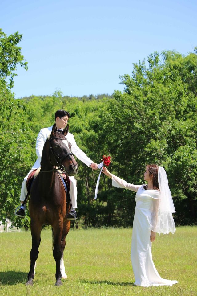 말을 타고 웨딩사진