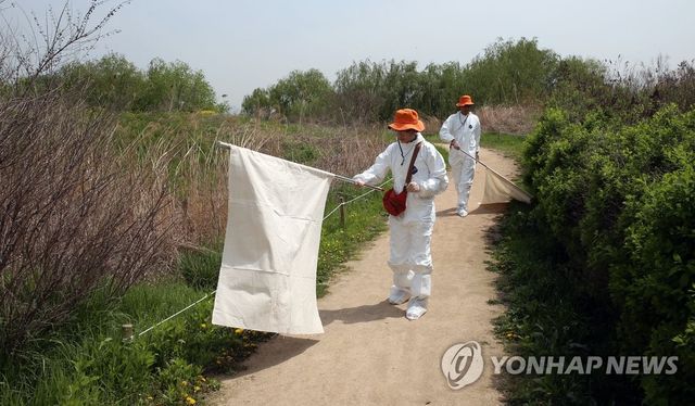 SFTS 매개 진드기 채집