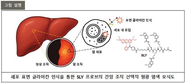 연구 관련 이미지