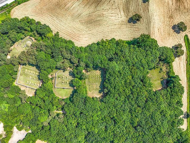 태실군(오른쪽부터), 왕자·왕녀묘, 숙의 묘역, 빈·귀인 묘역, 회묘 [사진/백승렬 기자]