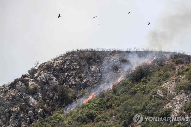 프랑스 비자네에서 발생한 산불