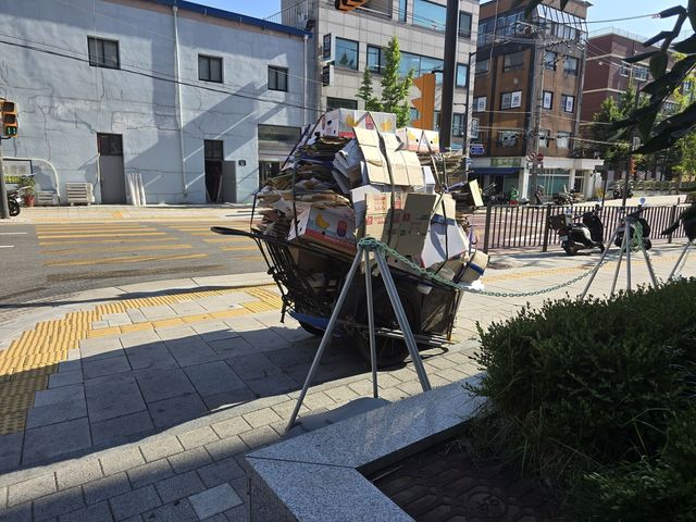 폐지 수거 노인