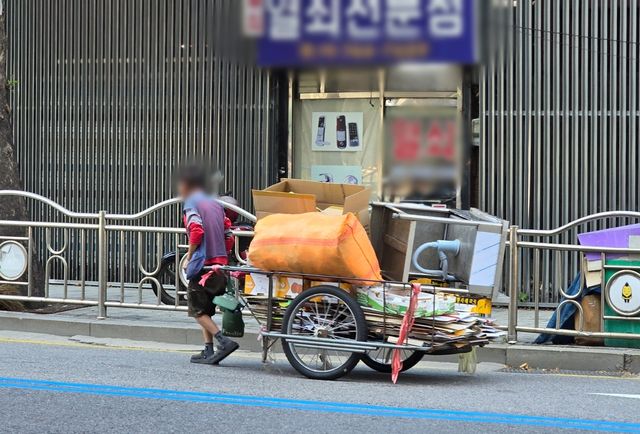 폐지 수거 노인