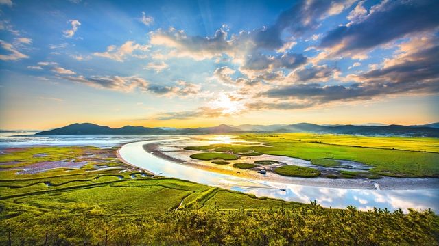 용산 전망대에서 바라본 순천만 습지